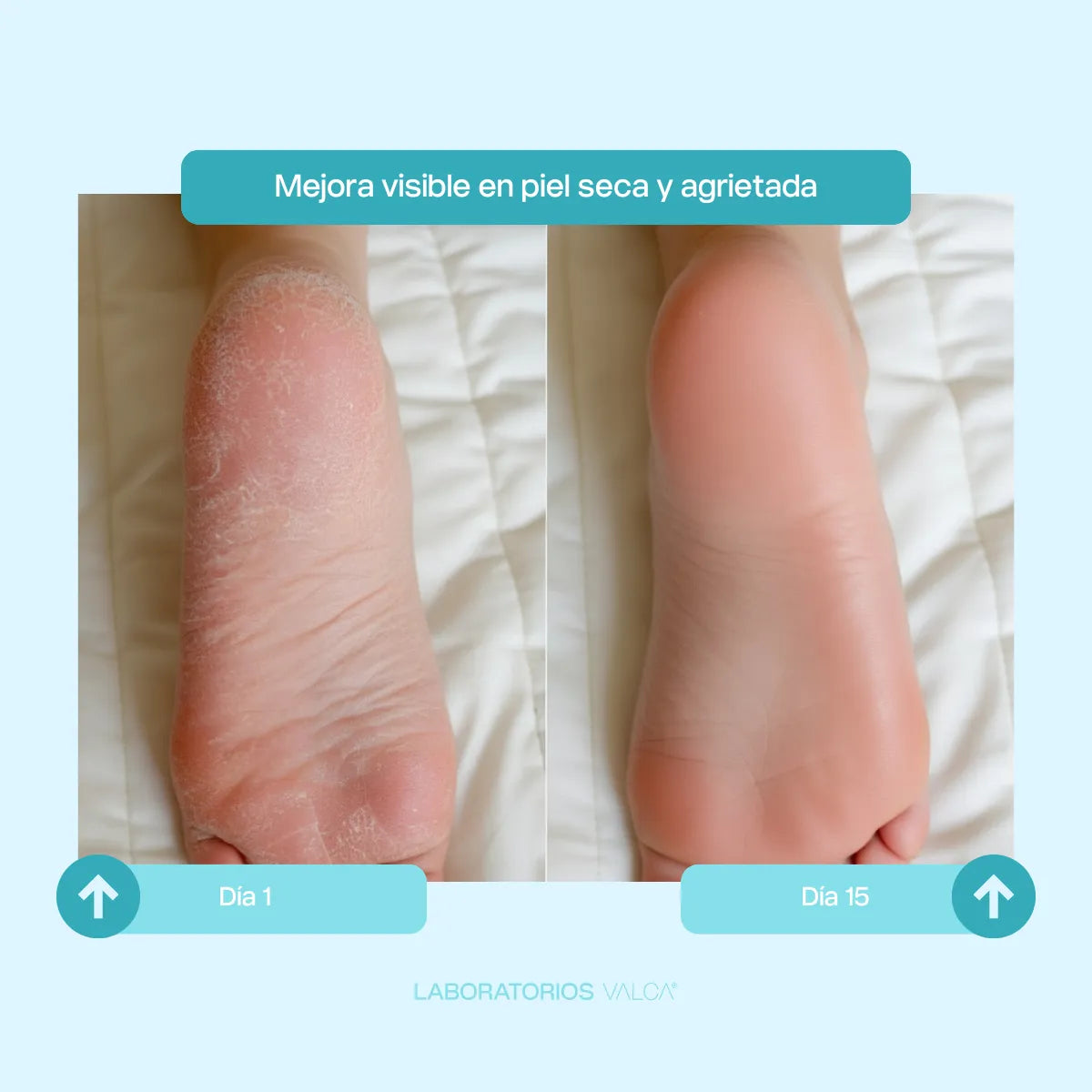 COMBO MEGA REGENERACION